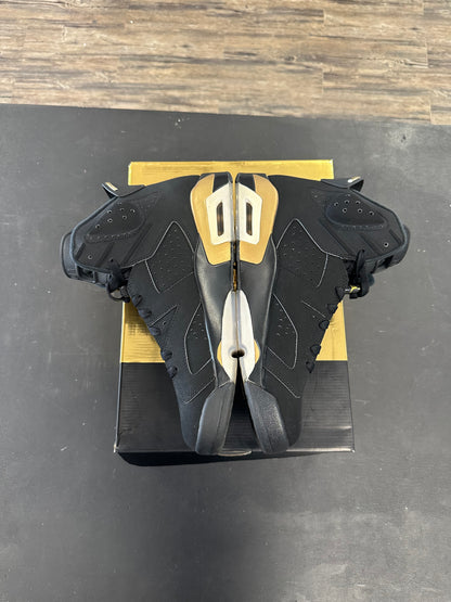 Air Jordan 6s "DMP" Size 12