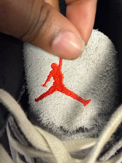 Air Jordan 3s "Rare Air" Size 12.5