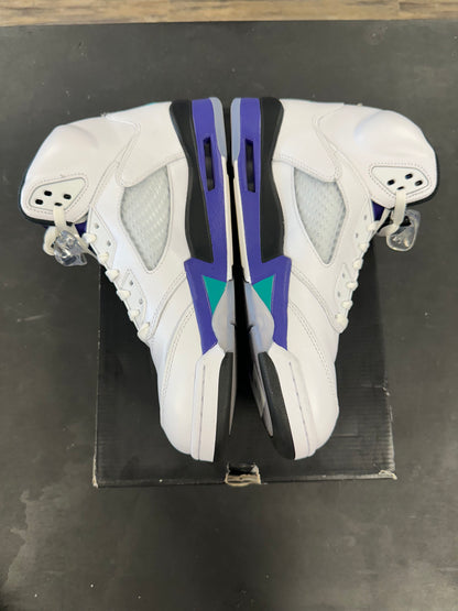 Air Jordan 5s "Grapes" Size 12