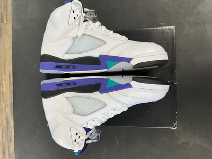 Air Jordan 5s "Grapes" Size 12