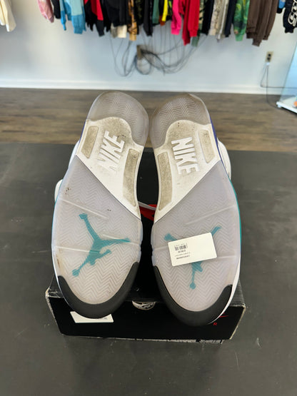 Air Jordan 5s "Grapes" Size 12