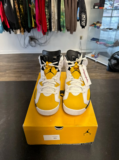 Air Jordan 6s "Ochre" Size 10.5