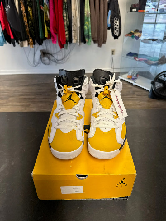 Air Jordan 6s "Ochre" Size 10.5
