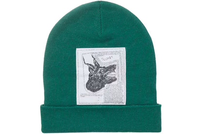 Supreme x NorthFace Beanie O/S